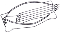 Pencil Pouch Illustration