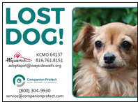 Animal Shelter Forms