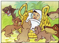 Baby Shower Invitation